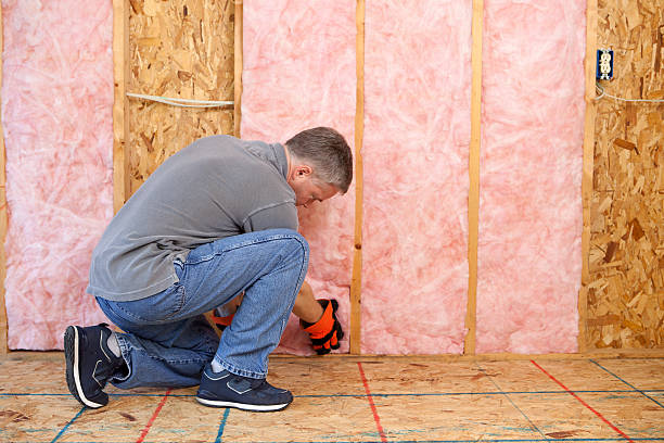 Best Commercial Insulation in Mino, CA